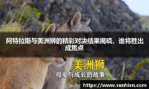 万博max官网